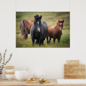 Poster De beaux chevaux (Cuisine)