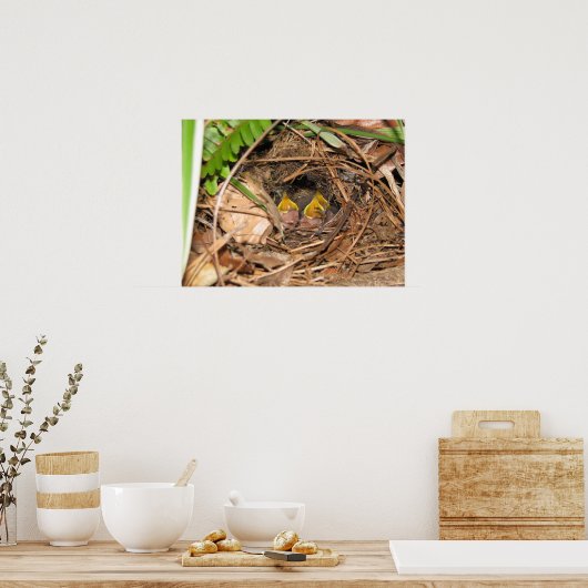 Poster de bébé Carolina Wrens (Cuisine)