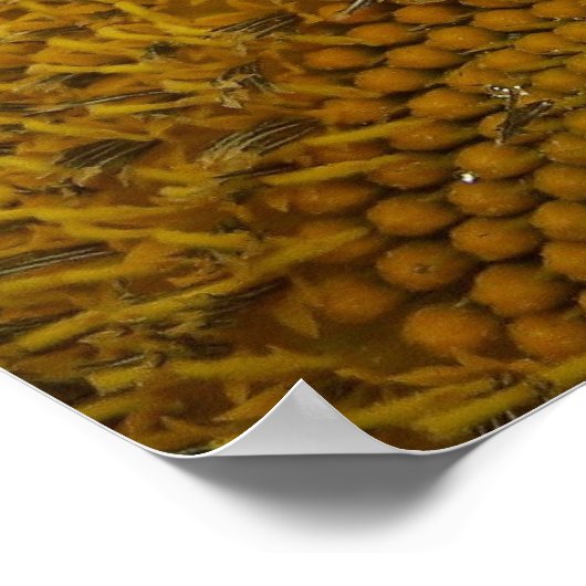 Poster de Bee Yourself (Coin)