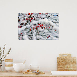 Poster De belles baies rouges et neige