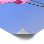 Poster de belles fleurs roses serrant un ciel bleu clair (Coin)