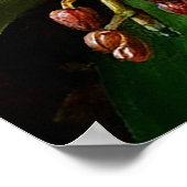 Poster De belles orchidées dans une composition artistiqu (Coin)