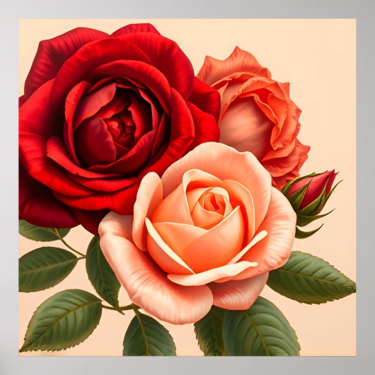 Poster De belles roses rouges, roses et corail (Devant)