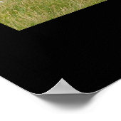 Poster de bétail Red Angus Print (Coin)