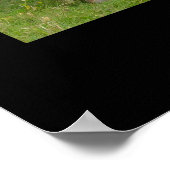 Poster de bétail Red Angus Print (Coin)