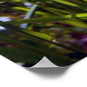 Poster de betercup Cheval Up (Coin)