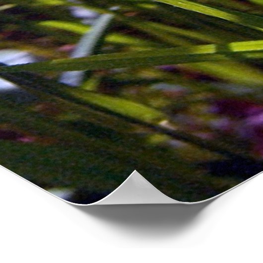 Poster de betercup Cheval Up (Coin)