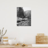 Poster de Black and White Forest Creek (Cuisine)