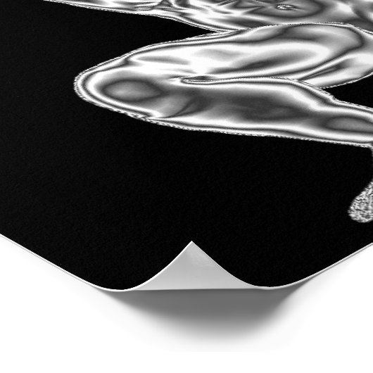 Poster de Bodybuilding (Coin)