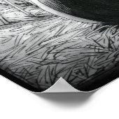 Poster de Boo Kitty Starts sur Shadows (Coin)