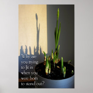 Poster de Born to Stand Out