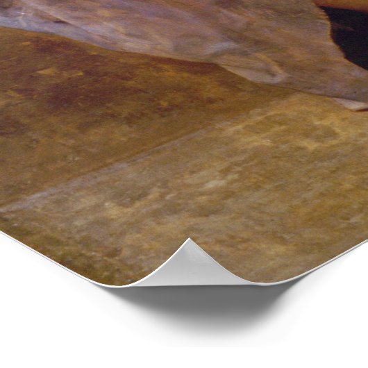 Poster de Bouguereau The Hard Lesson (Coin)