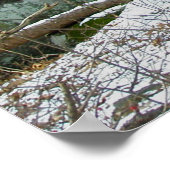 Poster de Boulders in Winter Woods (Coin)