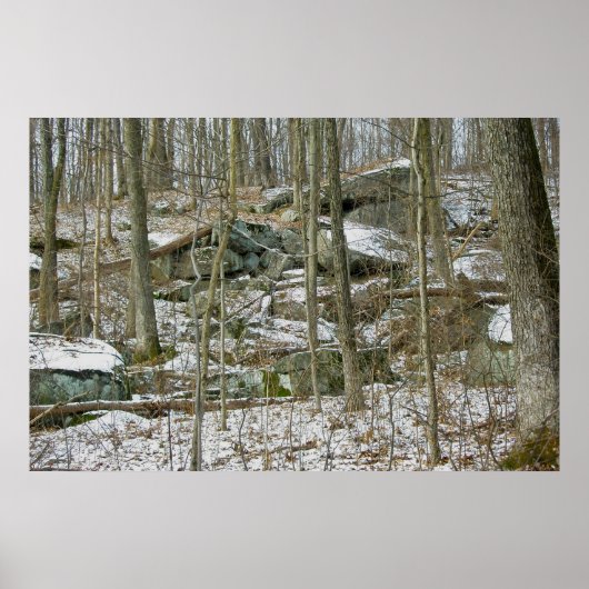 Poster de Boulders in Winter Woods (Devant)