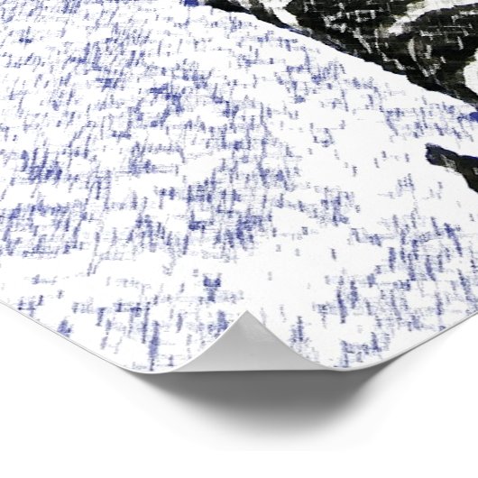 Poster de bouleau (Coin)