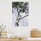 Poster de bouleau (Cuisine)