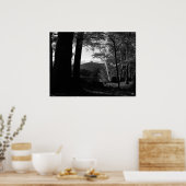 Poster de bouleau blanc dans un coucher de soleil (Cuisine)