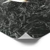 Poster de boxeur blanc (Coin)