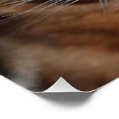 Poster de brillance de chat Bengale, Mur photo (Coin)