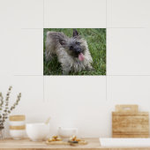 Poster de Brindle Cairn Terrier (Cuisine)