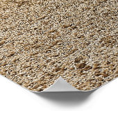 Poster de Bronco Bucking (Coin)