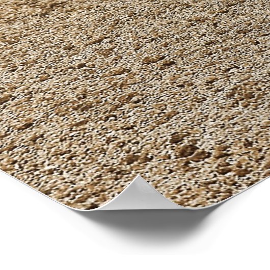 Poster de Bronco Bucking (Coin)