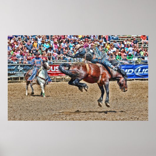 Poster de Bronco Bucking (Devant)