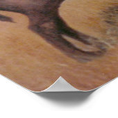 Poster de Buffalo (Coin)