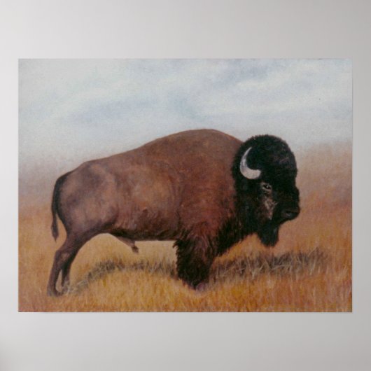 Poster de Buffalo (Devant)