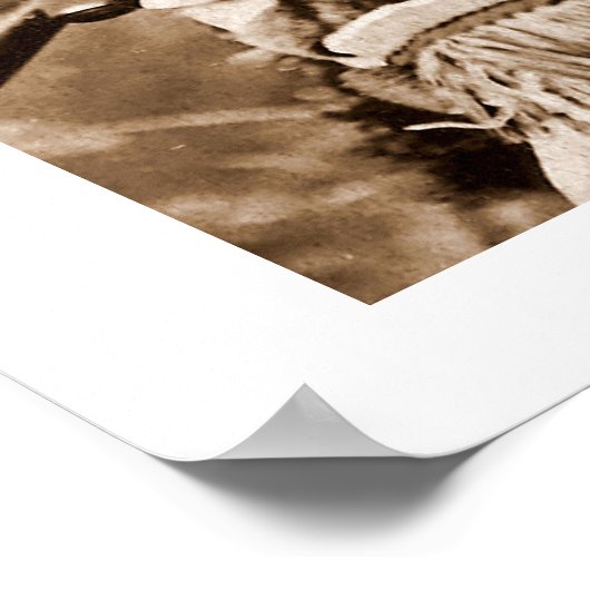 Poster de Buffalo Bill (Coin)