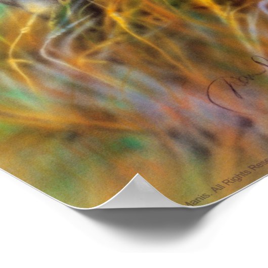 Poster de Buffalo Blanc (Coin)