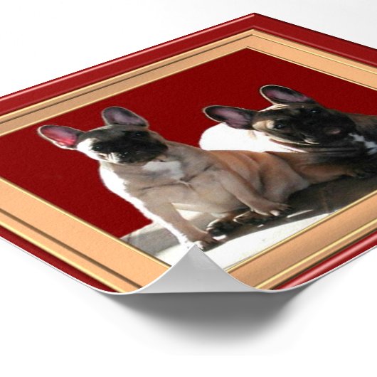 Poster de Buldoggen (Coin)