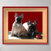 Poster de Buldoggen (Devant)