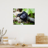 Poster de Bulgarie (Cuisine)