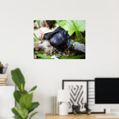 Poster de Bulgarie (Bureau à domicile)