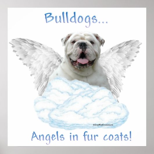Poster de Bulldog Angel (Devant)