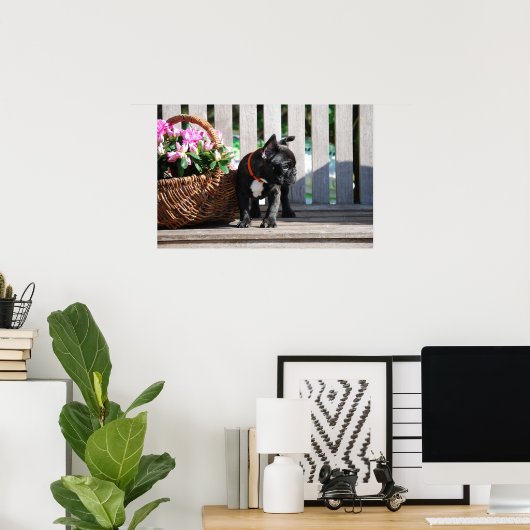 Poster de bulldog français (Bureau à domicile)