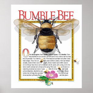 Poster de Bumble Bee
