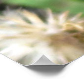 Poster de Bumble Bee (Coin)