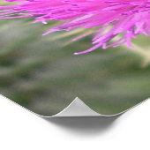 Poster de Bumblebee (Coin)