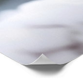 Poster de Bunnies Neige (Coin)