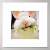 Poster de Bunny Munching (Devant)