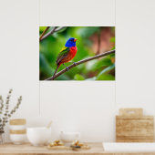 Poster de Bunting Peint (Cuisine)