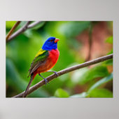 Poster de Bunting Peint (Devant)