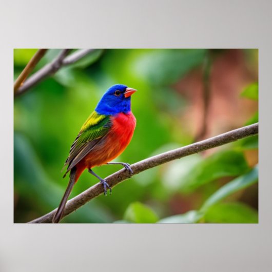 Poster de Bunting Peint (Devant)