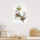 Poster de Bunting Peint Audubon (Cuisine)