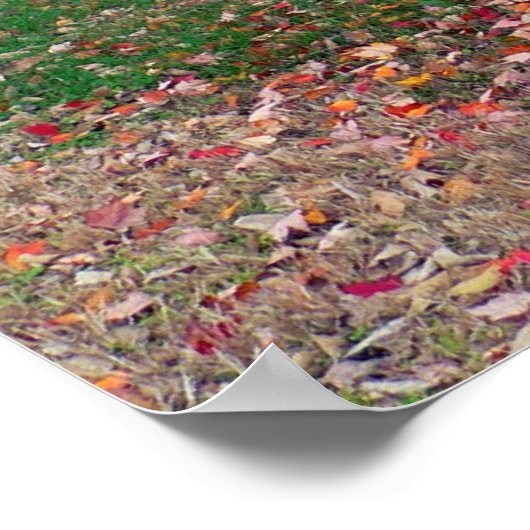 Poster de Bush brûlant (Coin)