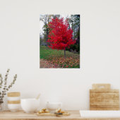 Poster de Bush brûlant (Cuisine)