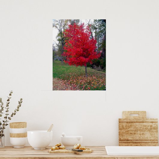 Poster de Bush brûlant (Cuisine)