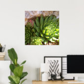 Poster de Cactus (Bureau à domicile)